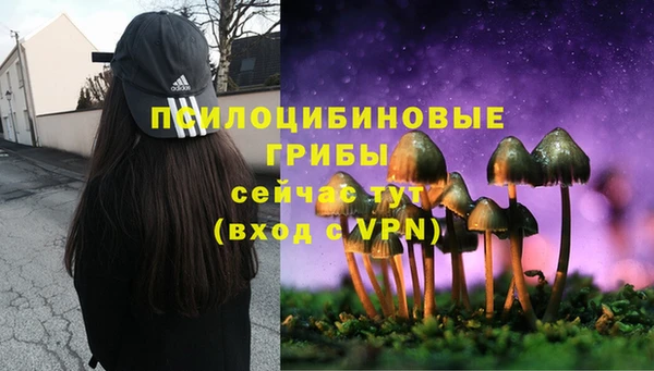 мет Медвежьегорск